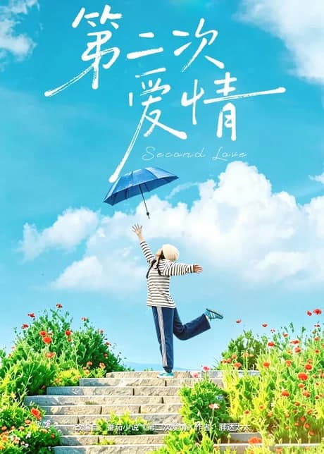 第二次爱情海报