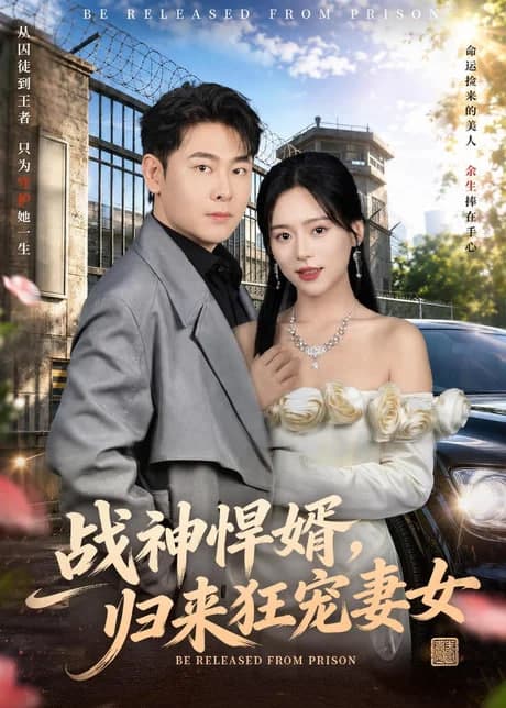 战神悍婿,归来狂宠妻女海报