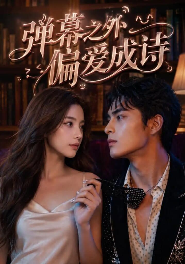 弹幕之外,偏爱成诗海报