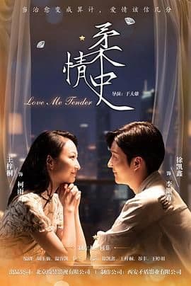 柔情史(2025)海报