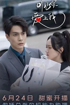 听见你,爱上我海报