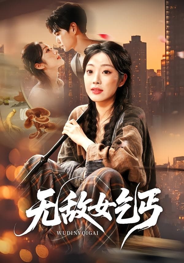 无敌女乞丐海报