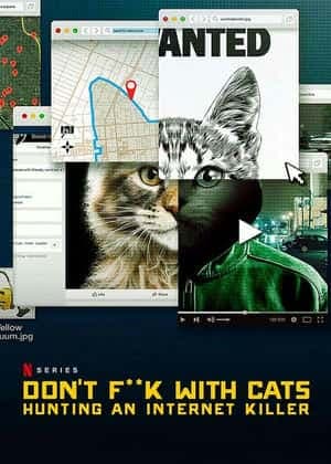 别惹猫咪:追捕虐猫者海报