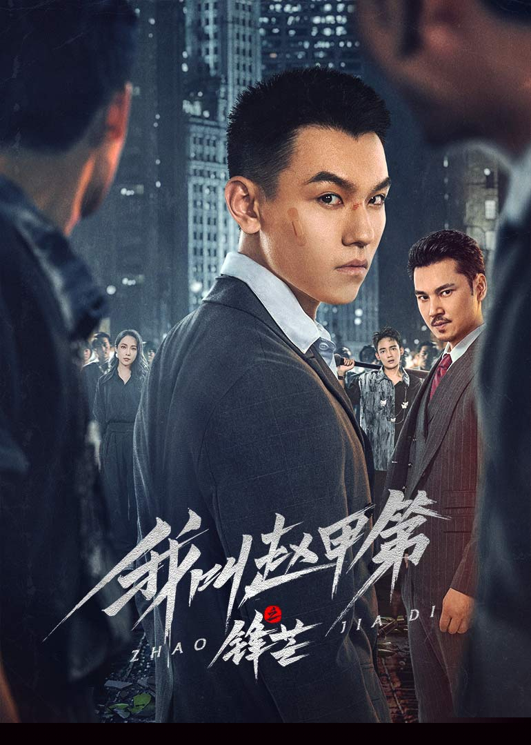 我叫赵甲第之锋芒海报