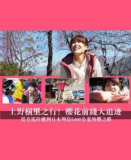 上野树里之行!樱花前线大追迹~从喜马拉雅到日本列岛5400公里的樱之路~海报