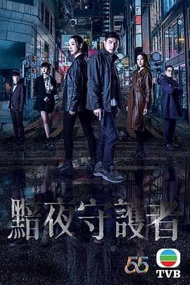 暗夜守护者海报