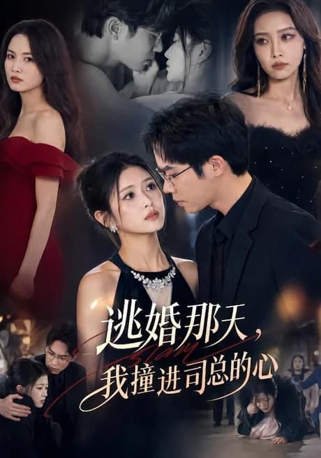 逃婚那天,我撞进司总的心海报