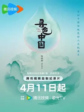 寻色中国海报