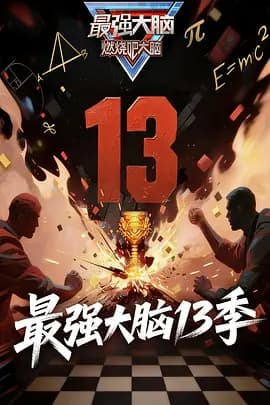 最强大脑第十三季(加更版)海报