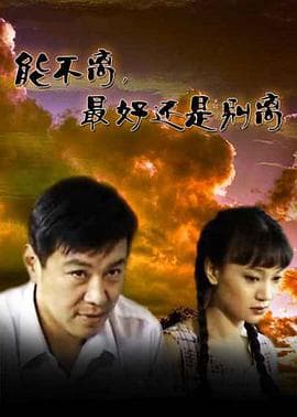 能不离,最好还是别离海报