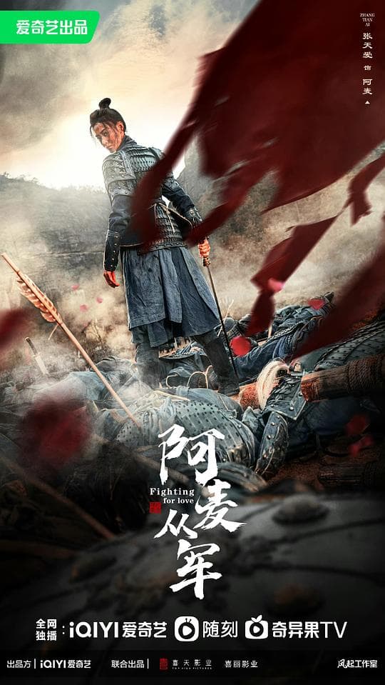 阿麦从军海报