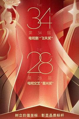 中国电视剧飞天奖暨星光奖 2024海报