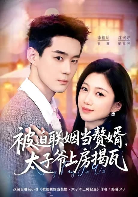被迫联姻当赘婿,太子爷上房揭瓦海报